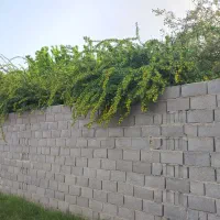 مشهد به بندرعباس