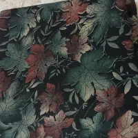 چادر نونو|لباس|رفسنجان, |دیوار