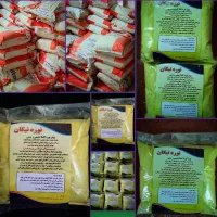 نوره زرنیخ‌دار اصل