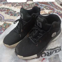 کفش|کیف، کفش، کمربند|نیشابور, خط کاشمر|دیوار