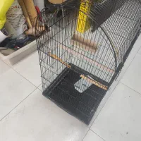 قفسه پرنده طوطی،عروس هلندی با تجهیزات، ۷۰۰|لوازم جانبی حیوانات|اصفهان, قلعه طبره|دیوار