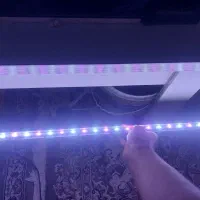 واتر پمپ نور آکواریوم مخصوص ماهی|ماهی|مشهد, امیریه|دیوار