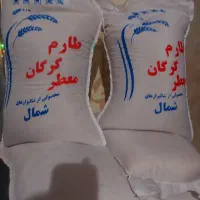 طارم شمال