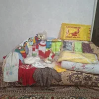 سیسمونی نوزاد جنس عالی