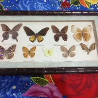 تابلو|تابلو، نقاشی، عکس|تهران, ولنجک|دیوار