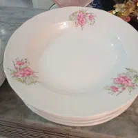 پلوخوری و پیش دستی ارکوپال