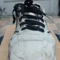 کفش اسپرت|کیف، کفش، کمربند|خوی, |دیوار