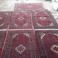 قالی دست بافت|فرش|شراء, |دیوار