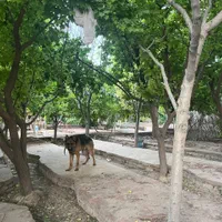 باغ ویلا ۱۵۰۰ متر مربع فول ( بازمرگان  باران )|فروش خانه و ویلا|مشهد, الهیه|دیوار