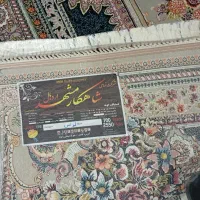 دوتخته ۹متری ۷۰۰شانه اصل تراکم ۲۵۵۰ده رنگ|فرش|هشتگرد, شهرک ولیعصر (مصلی)|دیوار