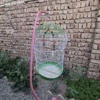 قفس پرنده