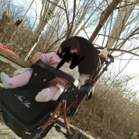 کالسکه دلیجان