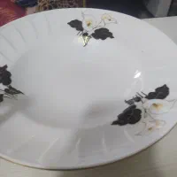 چینی گل قرمز|ظروف سرو و پذیرایی|فولادشهر, B8|دیوار