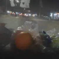 پرتقال تامسون شیرین ابدار