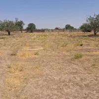 زمین زراعی ، نزدیک شهر|فروش زمین و ملک کلنگی|قزوین, |دیوار