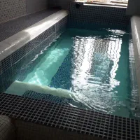 باغ وویلا