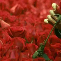 کلینیک تخصصی درمان اعتیاد