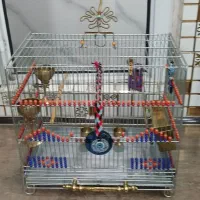 سره قناری