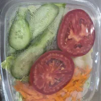 پخش موارد رستورانی