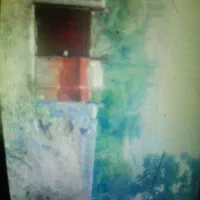 زمین-باغی