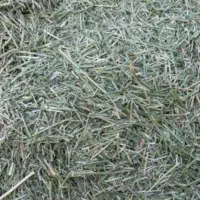 کاه و یونجه درجه یک