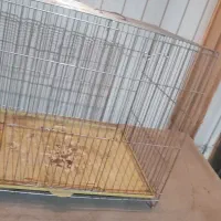 قفس پرنده|لوازم جانبی حیوانات|فولادشهر, B2|دیوار