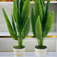 درختچه|گل مصنوعی|سنندج, |دیوار