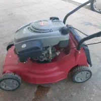 چمن زن اینهل آلمانی