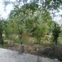 ویلا باغ بدون استخرصدرا|اجارهٔ کوتاه‌مدت ویلا و باغ|شیراز, علوم پزشکی|دیوار