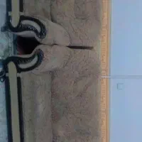 مبل|مبلمان خانگی و میز عسلی|رفسنجان, |دیوار