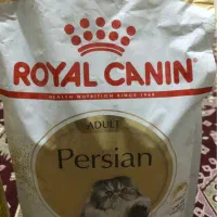غذای گربه