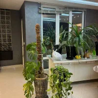 نقاشی ساختمان در و پنجره|خدمات پیشه و مهارت|قوچان, |دیوار