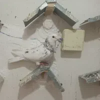 کبوتر|پرنده|مرودشت, کوشک|دیوار