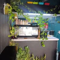 واگذاری کافه با تمام امکانات|کافیشاپ و رستوران|شیراز, پشم شیشه|دیوار