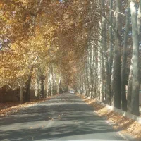 ۹۰۰مترکاسبی.کردان/تهراندشت/سرخاب