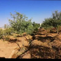 فروش-نقد-و-اقساط