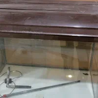 آکواریوم شیشه خم ژاپنی