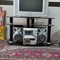 تلویزیون ضبط