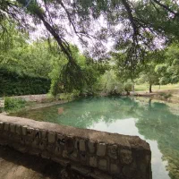 سوئیت-اجاره-ای