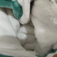 فروش لباس پشمی بچگانه|کفش و لباس بچه|ایلام, |دیوار