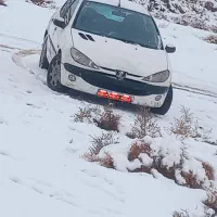 متور ۲۰۶ تیپ ۱