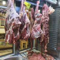 گوشت گرم گوسفندی به قیمت کشتارگاه با کالابرگ