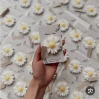 گیفت  بابونه