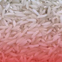 استخدام دستیار و منشی