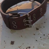 قلاده چرمی وزنجیر قدیمی|لوازم جانبی حیوانات|قزوین, |دیوار