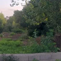 زمین ۲۱۰ متر لنگرود،شلمان،بالامحله،گلسار|فروش زمین و ملک کلنگی|شلمان, |دیوار