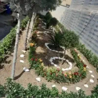 خدمات باغبانی و کشاورزی|خدمات باغبانی و درختکاری|زاهدان, |دیوار