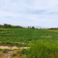 زمین-باغ-شهری-3-400-متر-بیضا