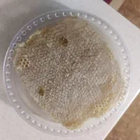 عسل بدون موم مرغوب چالدران