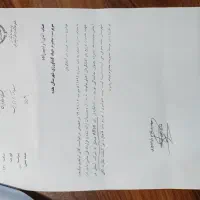 بذر آفتابگردان|خدمات باغبانی و درختکاری|نقده, |دیوار